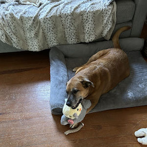 Meet your Posher, Bryan